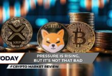 مراجعة سوق العملات الرقمية: هل انتهى الاتجاه الهبوطي لـ XRP؟ شيبا إينو (SHIB) تتلقى ضربات قوية، بيتكوين (BTC) آمن فوق 80,000 دولار