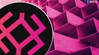 كل ما نعرفه عن عملة IMU من إيميون فاي