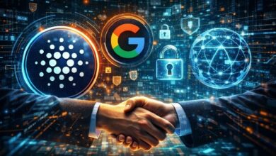 مؤسس كاردانو يعلن عن تعاون مع جوجل وشركة من فورتشن 10 لتقنية الخصوصية نايتستريم