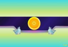 شراء 210 مليون عملة ADA في 3 أسابيع: ماذا تعرف حيتان كاردانو؟