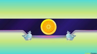 شراء 210 مليون عملة ADA في 3 أسابيع: ماذا تعرف حيتان كاردانو؟