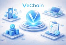 فيتشين تدخل عصر المنفعة الحقيقية: تطبيقات عملية، وإثبات الحصة، وتجربة انضمام سلسة