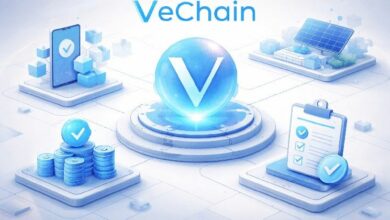 فيتشين تدخل عصر المنفعة الحقيقية: تطبيقات عملية، وإثبات الحصة، وتجربة انضمام سلسة