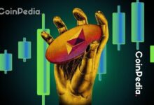 توم لي: صندوق "بيتماين إميرجن" يمتلك الآن 3.4% من إمدادات الإيثيريوم