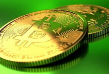 اهتمام قوي للشركات المؤسسية بالبيتكوين! اشتروا آلاف العملات خلال 6 أشهر! كل البيانات هنا