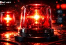 مؤشرات المشتقات المشفرة تحذر: انخفاض الفائدة المفتوحة وزيادة عمليات التصفية في البيتكوين