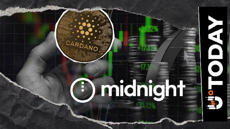 إدراج عملة كاردانو ميدنايت (NIGHT) في منصة تداول رائدة