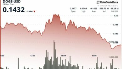 انخفاض دوجكوين 4% مع تصريف المتداولين عند مستويات القوة