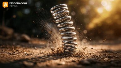 المتداولون يتطلعون إلى 98 ألف دولار مع استعداد البيتكوين لتحرّك حاسم