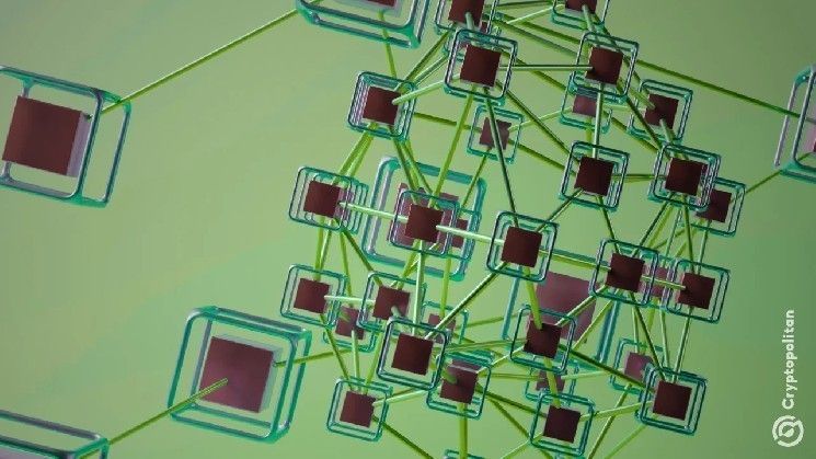 نشاط منصات التداول اللامركزية يسجل رقمًا قياسيًا جديدًا في يناير رغم انخفاض أسعار العملات الرقمية في 2026