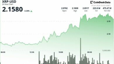 XRP يرتفع 6% مدفوعاً بطفرة في حجم التداول