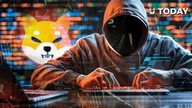 شيبا إينو: صمت شيتوشي كوساما يمتد 18 يومًا في 2026.. ما الذي يحدث؟