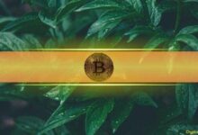 مُحلِّل: البيتكوين يستعد لصعود قصير الأجل بعد انخفاض السعر دون تكلفة المُعدّنين البالغة 101 ألف دولار