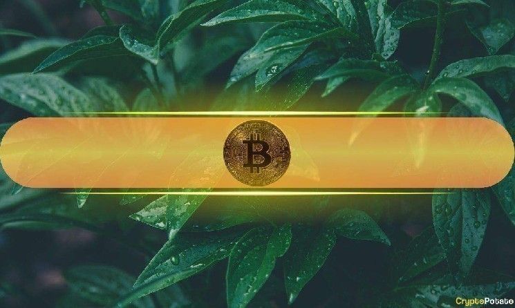 مُحلِّل: البيتكوين يستعد لصعود قصير الأجل بعد انخفاض السعر دون تكلفة المُعدّنين البالغة 101 ألف دولار