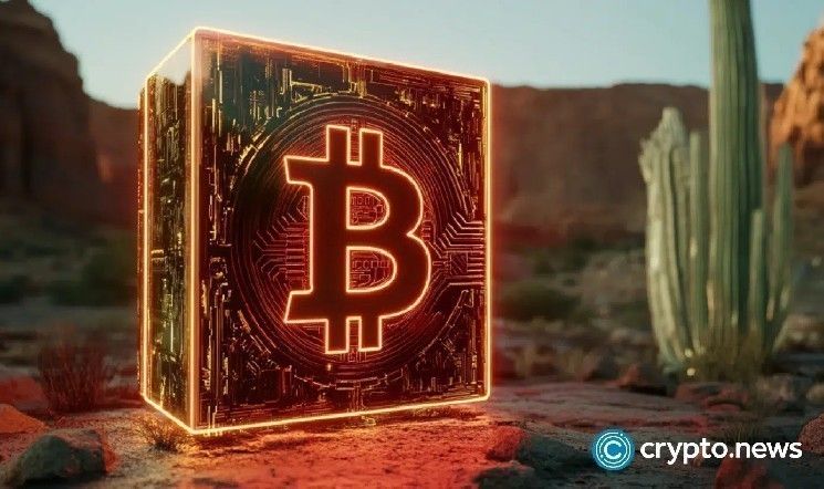البيتكوين يحوم قرب 90,000 دولار مع انتعاش الأسهم وارتفاع الذهب لمستوى قياسي