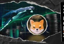 لغز 472,302,979,093 SHIB يصدم بورصة سنغافورة الكبرى: هل هذا هو الملياردير الجديد لشيبا إينو؟