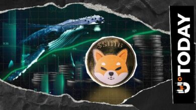 لغز 472,302,979,093 SHIB يصدم بورصة سنغافورة الكبرى: هل هذا هو الملياردير الجديد لشيبا إينو؟