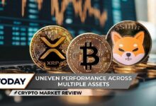 مراجعة U.Today للأسواق: حجم تداول XRP يصِفِر.. شيبا إينو (SHIB) على أعتاب ارتفاع صاروخي.. هل وصل البيتكوين (BTC) للقمة؟