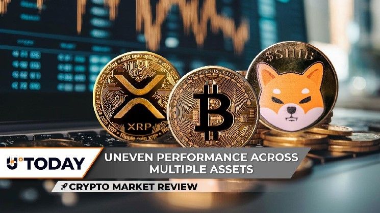 مراجعة U.Today للأسواق: حجم تداول XRP يصِفِر.. شيبا إينو (SHIB) على أعتاب ارتفاع صاروخي.. هل وصل البيتكوين (BTC) للقمة؟