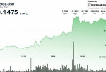 دوجكوين يقفز بنسبة 9% مع عودة المشترين وكسر الاتجاه الهبوطي الأخير