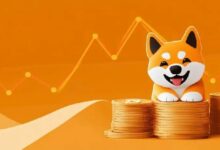 شيبا إينو تختبر مستوى دعم حاسمًا بينما يراقب المحللون خمسة أهداف سعرية