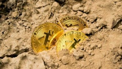 شركة BitVentures المدرجة في ناسداك تطلق قسم أصول رقمية جديدًا لتعدين البيتكوين والعملات البديلة