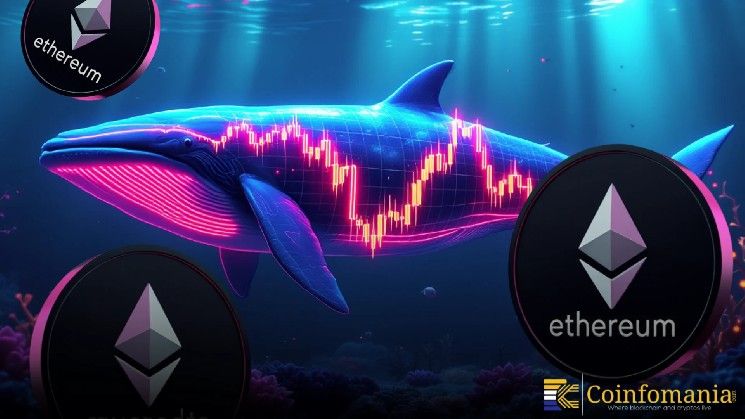 حوت إيثيريوم يشتري المزيد من ETH مع تعزز الثقة في السوق