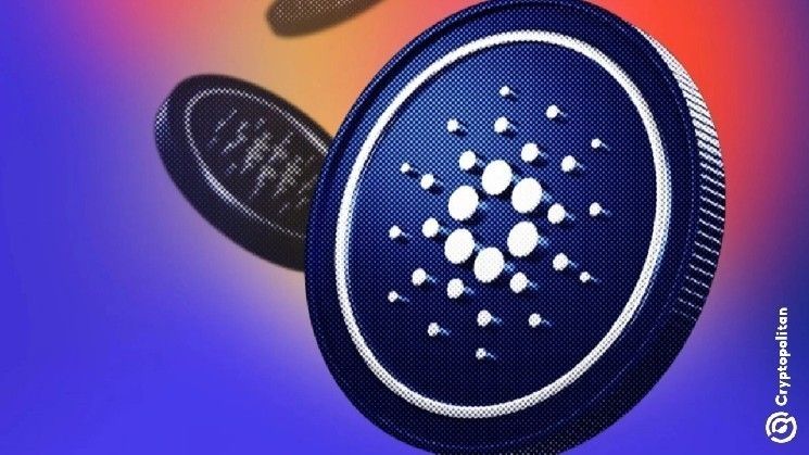 حيتان كاردانو تشتري 454 مليون عملة ADA بينما تنسحب المحافظ الصغيرة