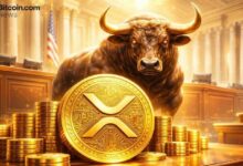 قضية صعود XRP تتعزز بعد حكم قضائي جديد يؤكد انتصارات ريبل القانونية السابقة