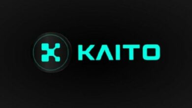 انخفاض سعر KAITO 20% بعد حظر منصة X لتطبيقات المعلومات المالية لمكافحة البريد العشوائي
