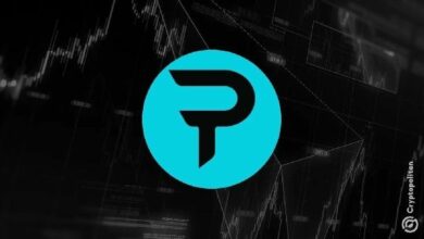 باراديكس تعالج خلل الصيانة برد 650 ألف دولار وتتجاوز مشكلة التراجع في السلسلة