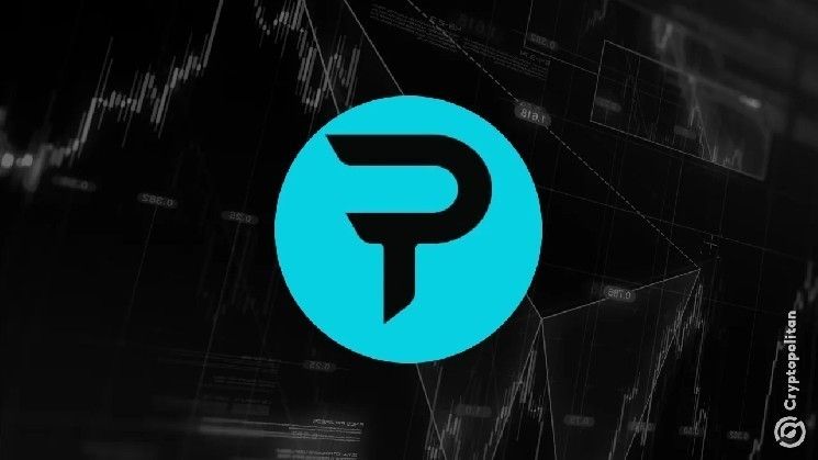 باراديكس تعالج خلل الصيانة برد 650 ألف دولار وتتجاوز مشكلة التراجع في السلسلة