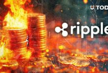 ريبل تحرق فجأة 5 ملايين RLUSD.. ما الذي يحدث؟