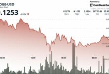 انخفاض عملة Dogecoin بنسبة 2% مع تضرر العملات الميمية من ضغوط التصفية