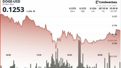 انخفاض عملة Dogecoin بنسبة 2% مع تضرر العملات الميمية من ضغوط التصفية