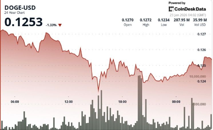 انخفاض عملة Dogecoin بنسبة 2% مع تضرر العملات الميمية من ضغوط التصفية