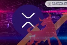 رئيس كاناري كابيتال: XRP مرشح ليكون الرمز المُمَيز الرائد في مجال توكنيز الأصول الواقعية