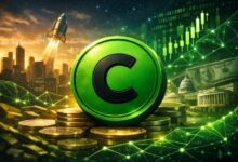 لماذا يتحدى كانتون (CC) الانكماش العام لسوق العملات الرقمية؟