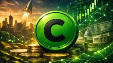 لماذا يتحدى كانتون (CC) الانكماش العام لسوق العملات الرقمية؟