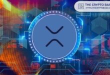 المستثمرون قد يستخدمون صناديق XRP المتداولة قريباً كما تستخدمها البنوك