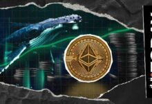 شراء الحيتان للإيثيريوم (ETH): لماذا يتهافت الجميع على الشراء؟