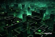 مؤسسة فينوم تكشف عن إطار عمل لحماية منصات الويب 3 من الاحتيال