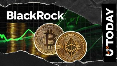 بلاك روك تبيع 257 مليون دولار من البيتكوين والإيثيريوم