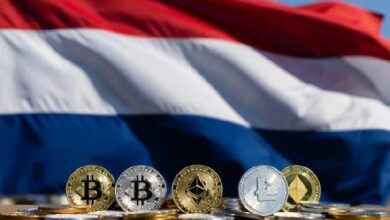 البرلمان الهولندي يقر ضريبة 36% على أرباح العملات الرقمية والاستثمارات غير المحققة