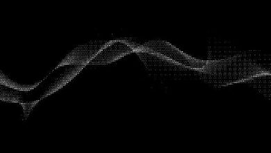 "ثروة رابيت" تدمج محافظ بيتوايز للعملات الرقمية في منصتها