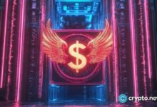 صناديق الاستثمار المشفرة باقية رغم التقلبات: مستقبلها مضمون