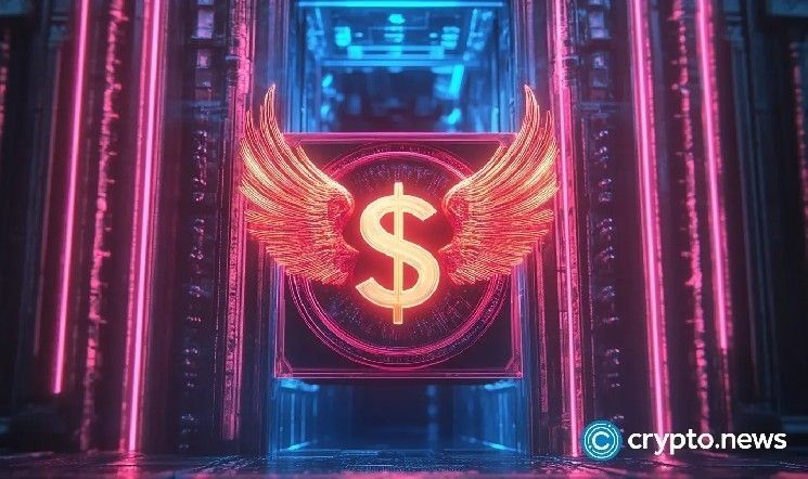 صناديق الاستثمار المشفرة باقية رغم التقلبات: مستقبلها مضمون