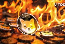 إزالة 4,804,534 عملة SHIB في 24 ساعة بعد ارتفاع حرق العملات بنسبة 380%