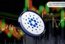 نماذج ABC الصاعدة على كاردانو تنتظر التحقق – ما الذي قد يدفع الانتعاش القادم؟