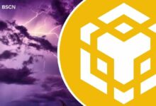 سلسلة BNB تتفوق على سلاسل الطبقة الأولى الكبرى بنمو على السلسلة